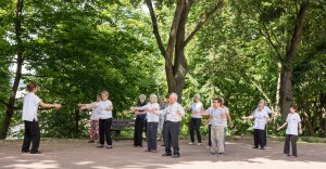 JourneeNatQiGong-TaiChiDo-24Juin2017-28