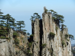 2013 Montagnes Jaunes