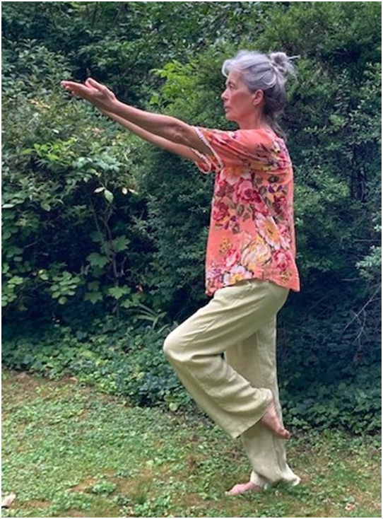 Cette image a un attribut alt vide ; le nom du fichier est image-5.png